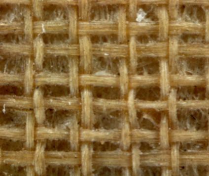 Fig. 2 Silk woven with double warps like that used for Goryeo Buddhist paintings